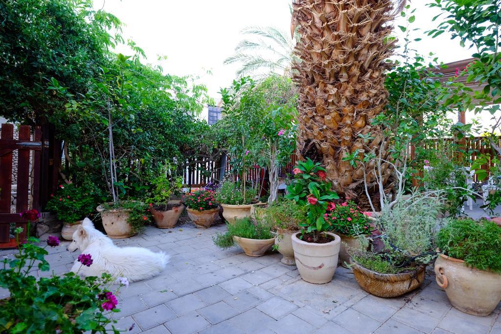 Gil'S Guest Rooms Neve Zohar Εξωτερικό φωτογραφία