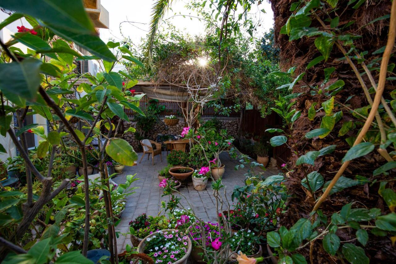 Gil'S Guest Rooms Neve Zohar Εξωτερικό φωτογραφία