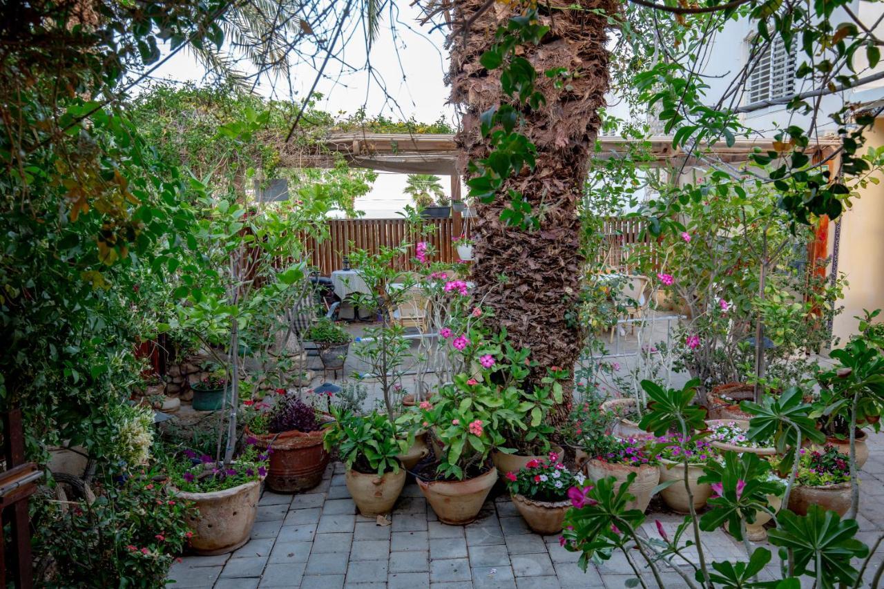 Gil'S Guest Rooms Neve Zohar Εξωτερικό φωτογραφία